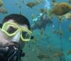 194 - 20250119 Florida Blue Grotto GoPro HERO11 Black