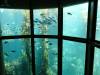 120 - Monterey Bay Aquarium