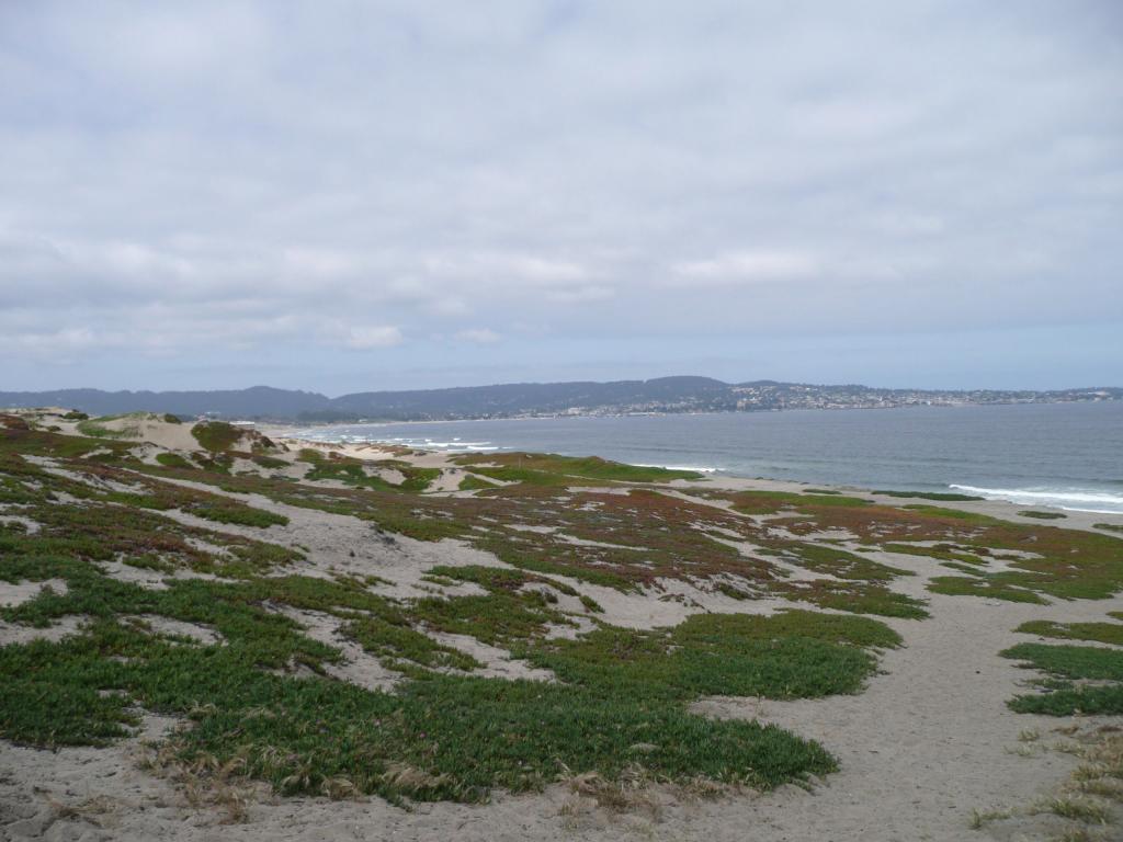 100 - Monterey Bay Aquarium