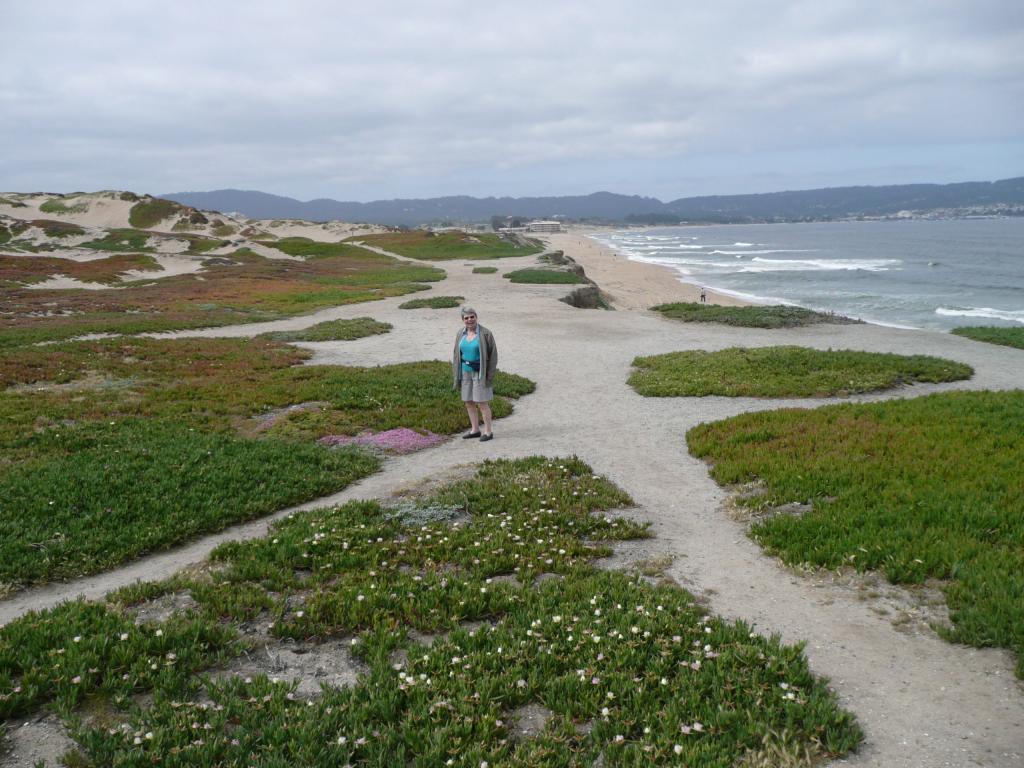 108 - Monterey Bay Aquarium