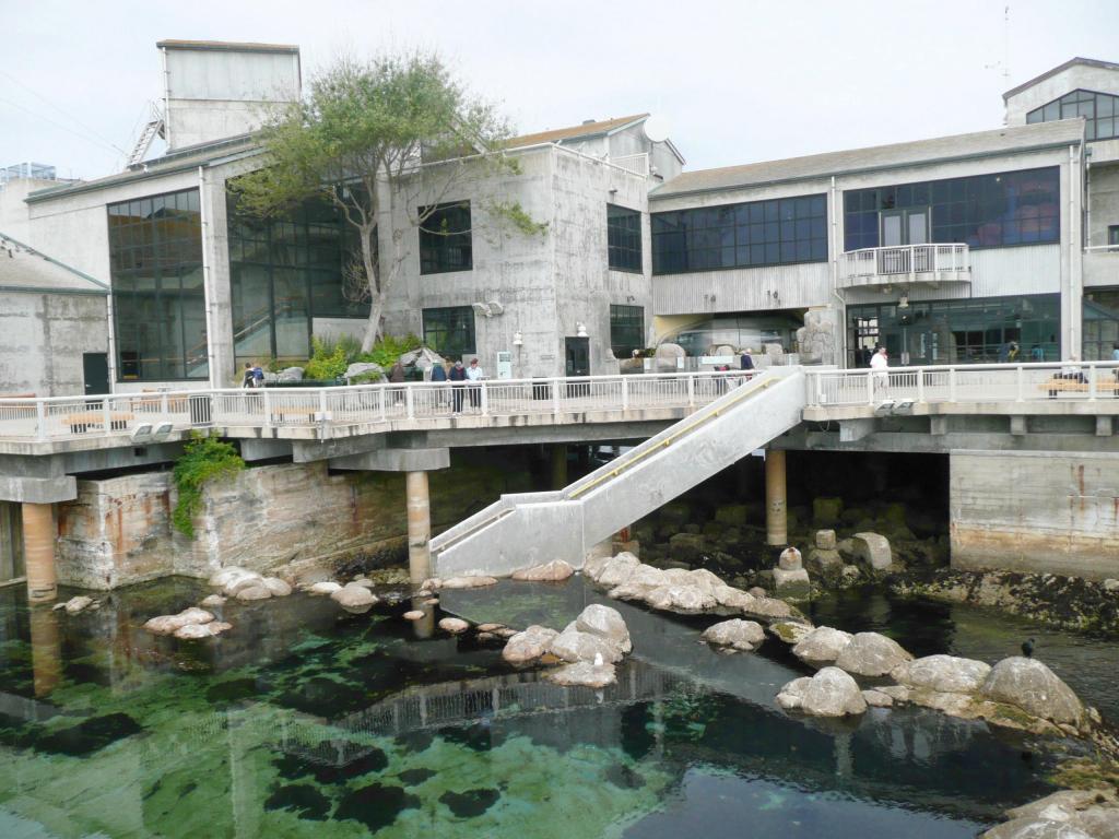 111 - Monterey Bay Aquarium