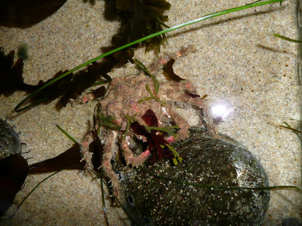 112 - Monterey Bay Aquarium