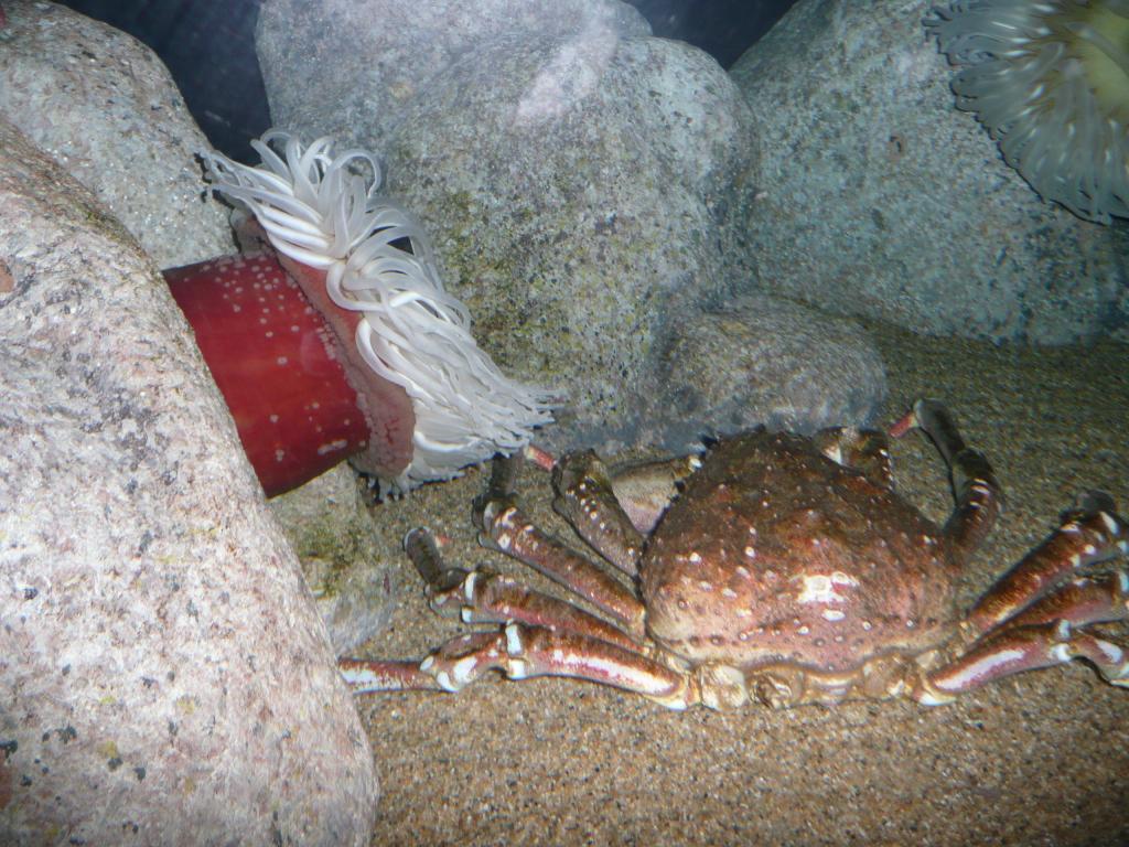 146 - Monterey Bay Aquarium