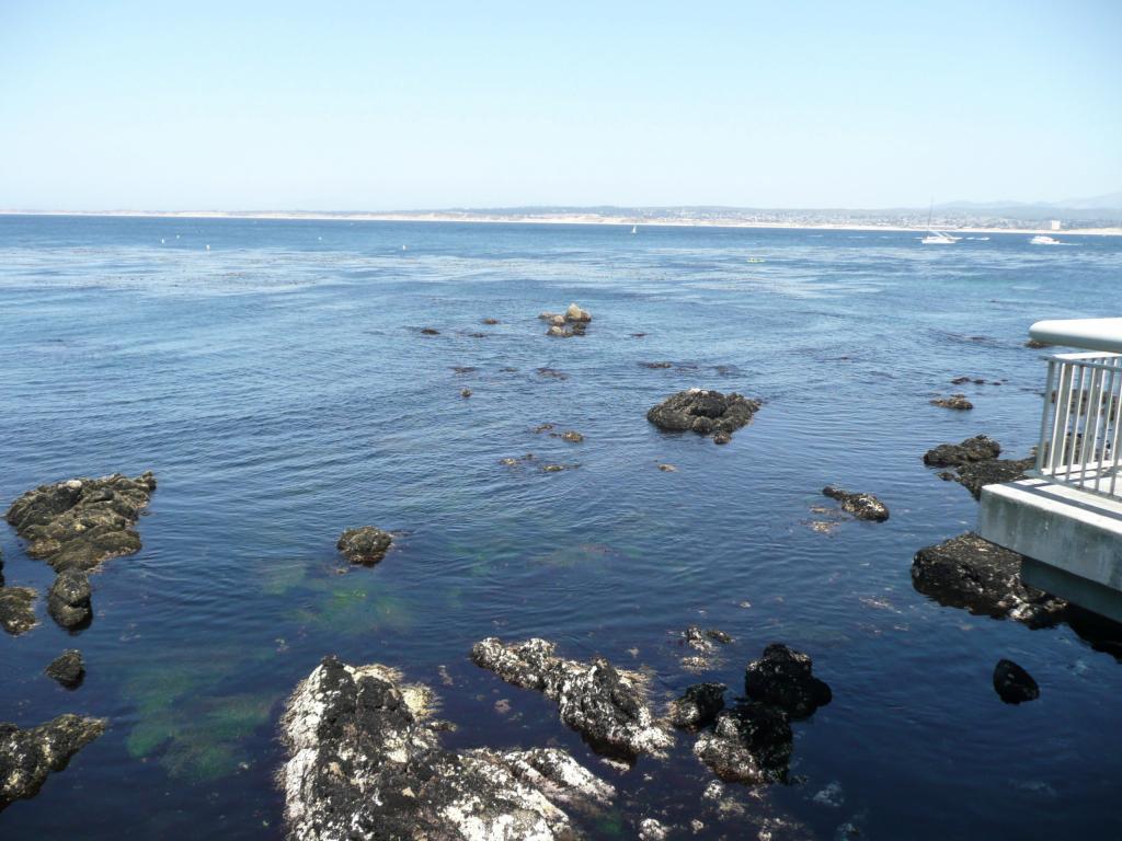 176 - Monterey Bay Aquarium