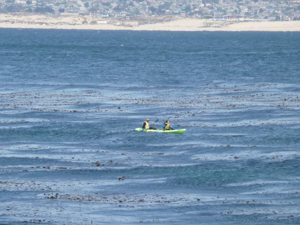 177 - Monterey Bay Aquarium