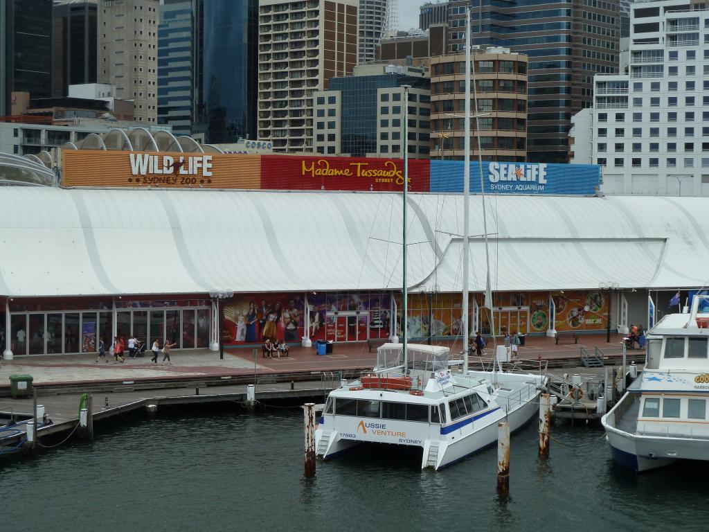 400 - Darling Harbour Aquarium