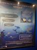 108 - 20160422 Singapore SEA Aquarium