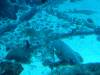 150 - 20160422 Singapore SEA Aquarium