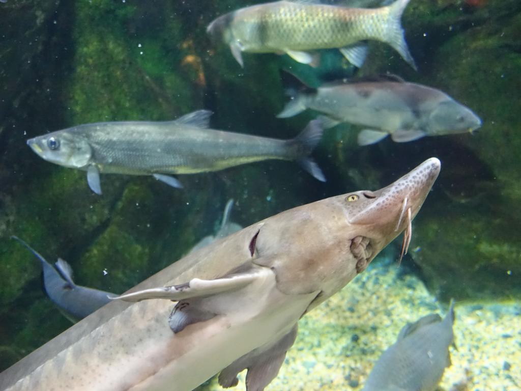 110 - 20160509 Seoul Coex Aquarium