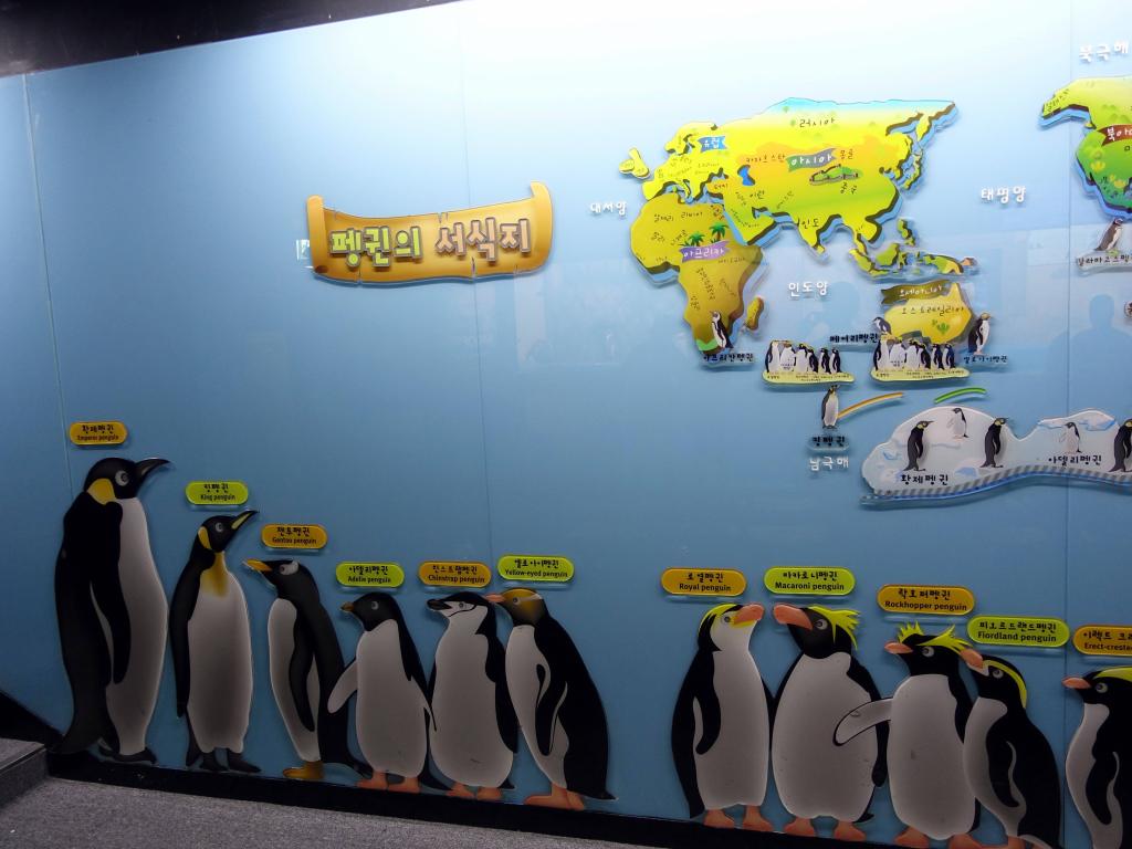 113 - 20160509 Seoul Coex Aquarium