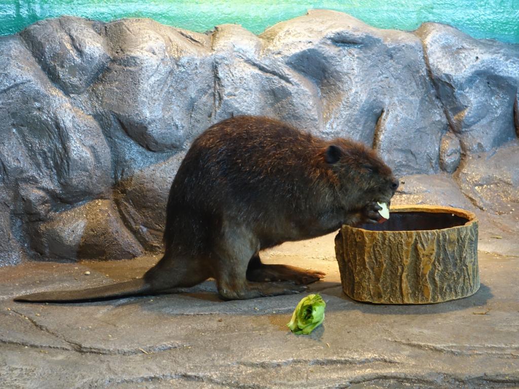 145 - 20160509 Seoul Coex Aquarium