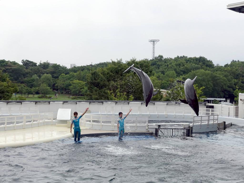 107 - 20160717 Kyoto Aquarium