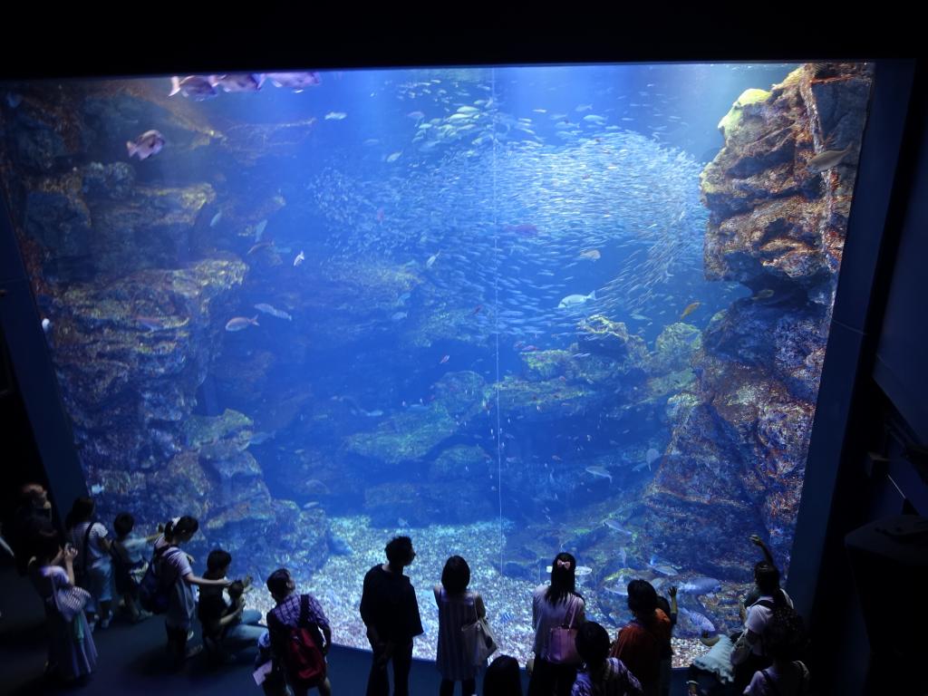 121 - 20160717 Kyoto Aquarium