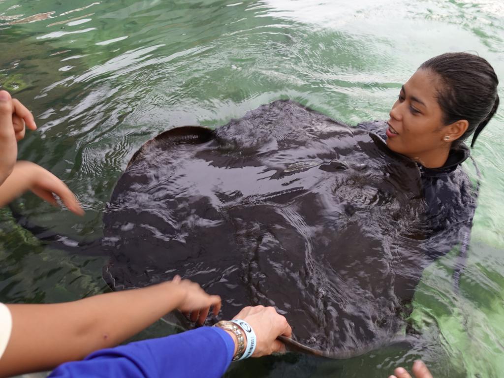 224 - 20180526 Manila Ocean Park