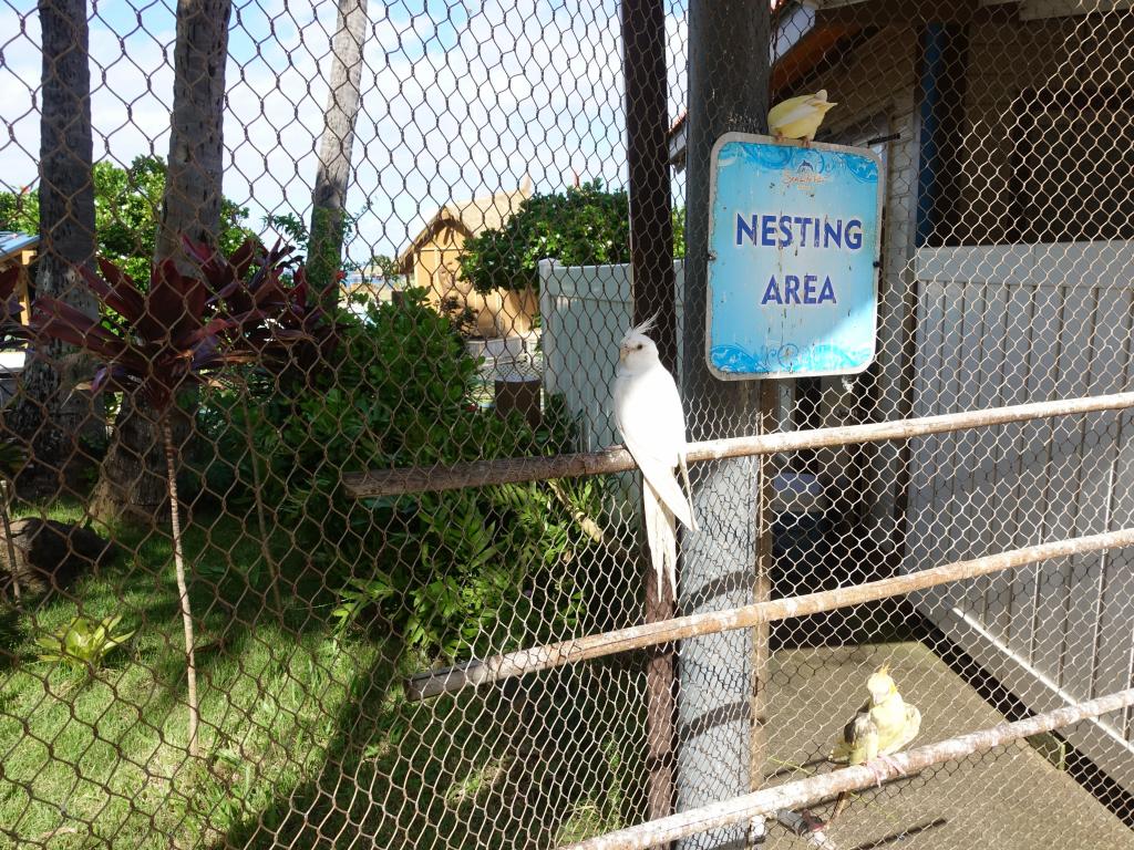 121 - 20181128 Sea Life Park