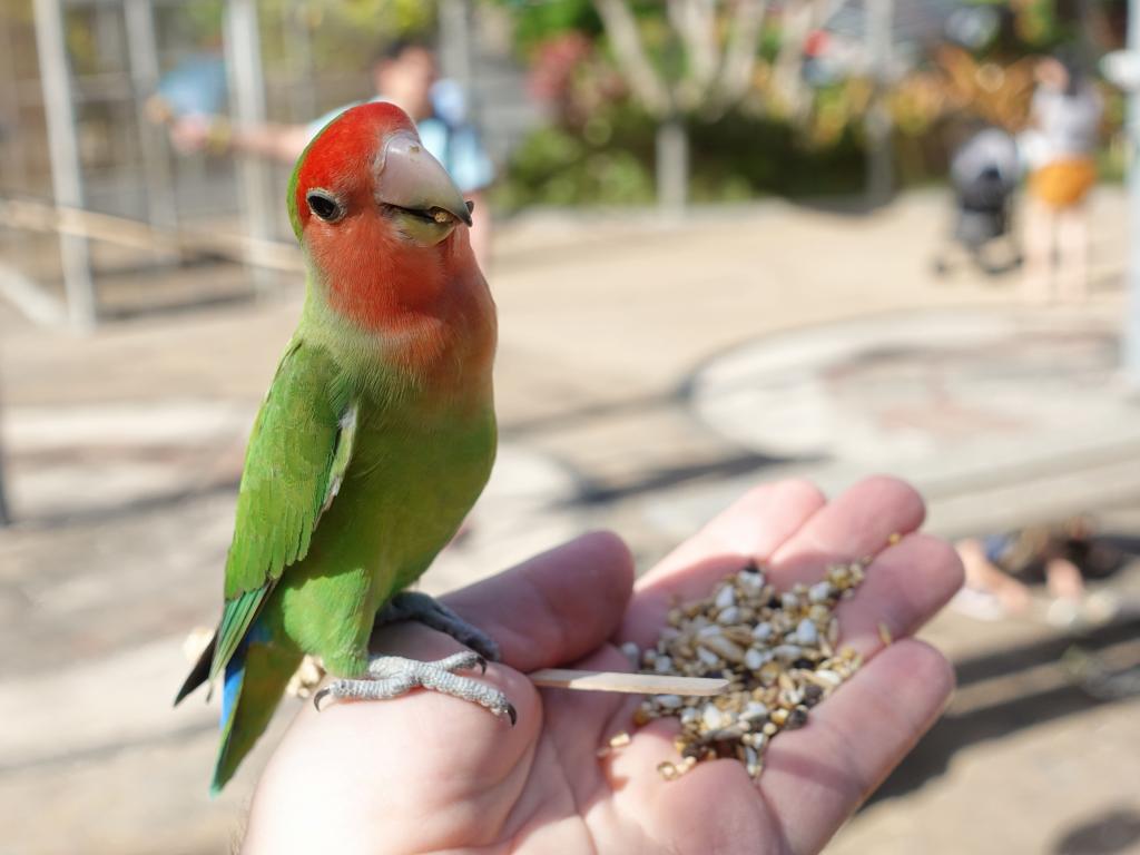 130 - 20181128 Sea Life Park