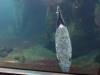 2256 - 20190912 Alaska Sealife Center