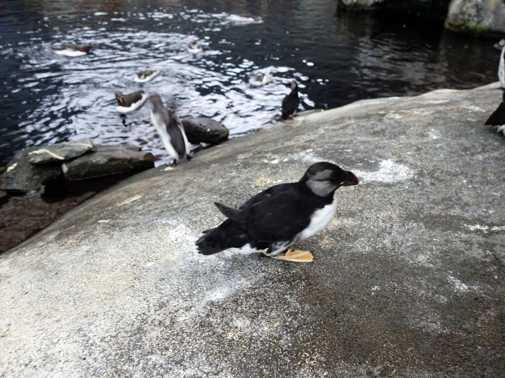 2174 - 20190912 Alaska Sealife Center