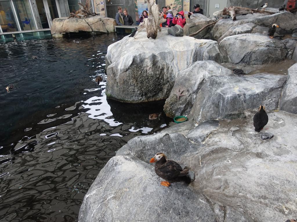 2197 - 20190912 Alaska Sealife Center