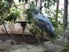 202 - 20200126 Dallas World Aquarium