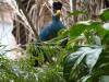 203 - 20200126 Dallas World Aquarium