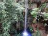 206 - 20200126 Dallas World Aquarium