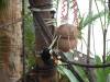 209 - 20200126 Dallas World Aquarium