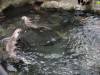 216 - 20200126 Dallas World Aquarium
