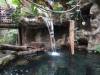 217 - 20200126 Dallas World Aquarium