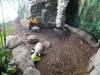 218 - 20200126 Dallas World Aquarium