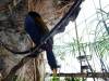 220 - 20200126 Dallas World Aquarium