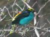 221 - 20200126 Dallas World Aquarium