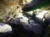 225 - 20200126 Dallas World Aquarium