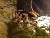 228 - 20200126 Dallas World Aquarium