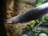 233 - 20200126 Dallas World Aquarium