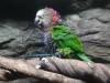 235 - 20200126 Dallas World Aquarium