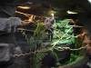 237 - 20200126 Dallas World Aquarium
