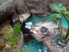 249 - 20200126 Dallas World Aquarium