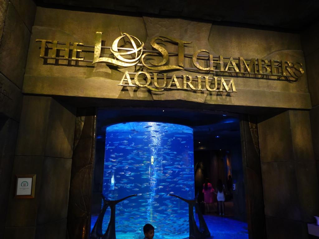 100 - 20211112 Lost Chambers Aquarium