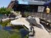 3136 - 20230621 Sea Life Scheveningen SONY
