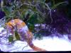 105 - 20231021 Bangkok Sea Life SONY