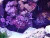 108 - 20231021 Bangkok Sea Life SONY