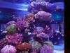 113 - 20231021 Bangkok Sea Life SONY