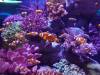 114 - 20231021 Bangkok Sea Life SONY