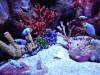 115 - 20231021 Bangkok Sea Life SONY