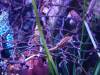124 - 20231021 Bangkok Sea Life SONY