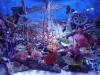 126 - 20231021 Bangkok Sea Life SONY