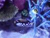129 - 20231021 Bangkok Sea Life SONY