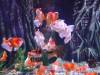 137 - 20231021 Bangkok Sea Life SONY
