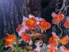 139 - 20231021 Bangkok Sea Life Google